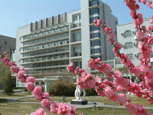 抠逼操逼